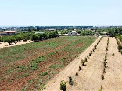 Terreno Agricolo in vendita ad Avola
