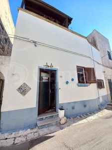 Casa indipendente in vendita a Castrignano Del Capo