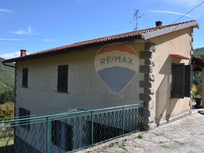 Casa indipendente in vendita a Montemignaio