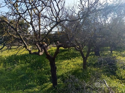 Ricovero attrezzi con terreno