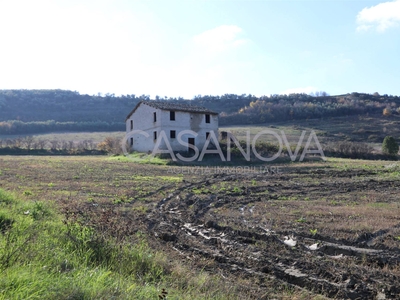 Rustico casale a Controguerra