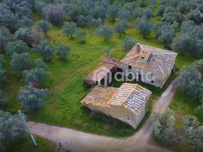 Rustico, strada moncioni, zona Frazioni Collinari, Montevarchi