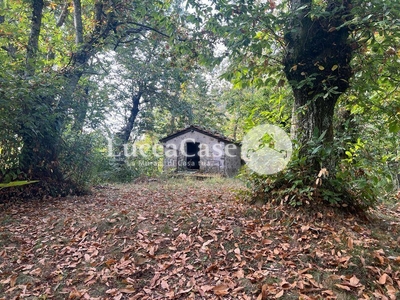 Rustico, via XGV, Borgo a Mozzano