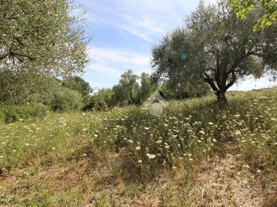 TER. AGRICOLO A MONTEROTONDO