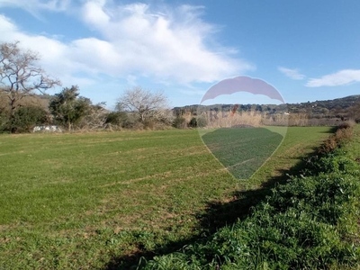Terreno agricolo in vendita a Porto Azzurro