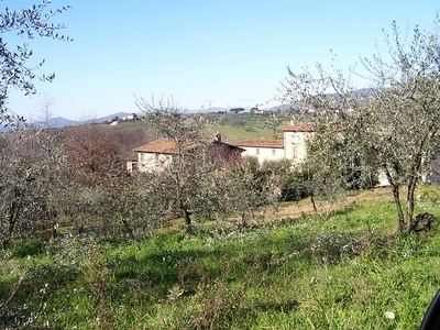 Vendita Agriturismo in Capannori