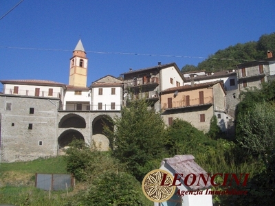 Vendita Rustico/Casale/Corte in Bagnone