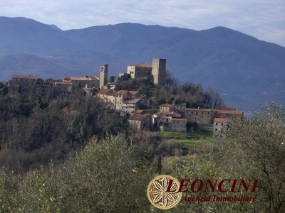 Vendita Rustico/Casale/Corte in Bagnone