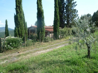 Vendita Rustico/Casale/Corte in MONTECATINI VAL DI CECINA