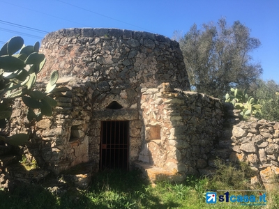 Vendita Terreno Agricolo in Galatina