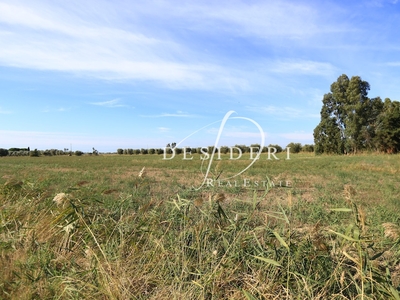 Vendita Terreno Agricolo in GROSSETO