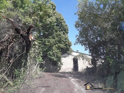 Vendita Villa singola in Poggio Catino