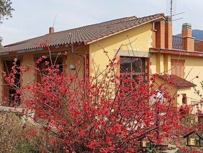Vendita Villa singola in Torri in Sabina