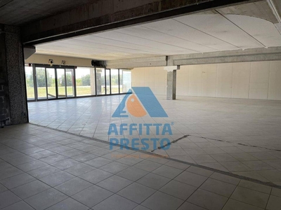 azienda commerciale in affitto a San Giuliano Terme