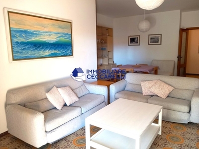 Appartamento in Affitto a Massa, zona Marina di Massa, 3'300€, 120 m², arredato