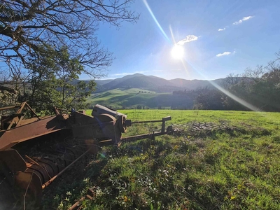 Rustico casale da ristrutturare in zona Micciano a Pomarance