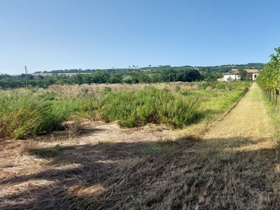 Terreno agricolo di 1.600 m² in Albinea