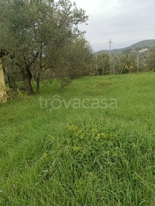 Terreno Agricolo in vendita a Bagno a Ripoli via di Picille