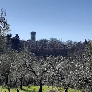 Terreno Agricolo in vendita a Calenzano via di Baroncoli, 1