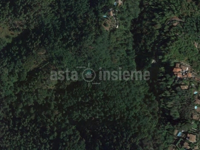 Terreno Agricolo in vendita a Camaiore fraz. Pedona, snc