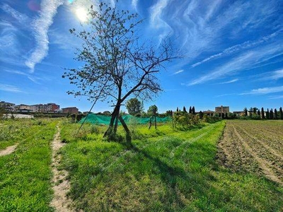 Terreno Agricolo in vendita a Campi Bisenzio via Castellaccio