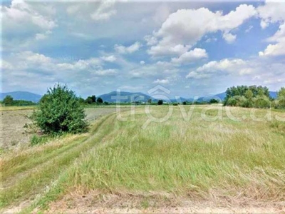 Terreno Agricolo in vendita a Campi Bisenzio via mammoli