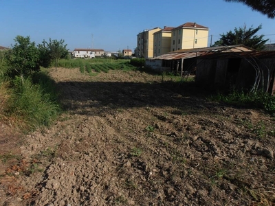 Terreno Agricolo in vendita a Campiglia Marittima