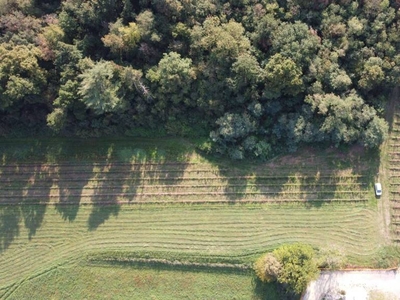 Terreno Agricolo in vendita a Caprino Veronese via Ingegnere Beccherle