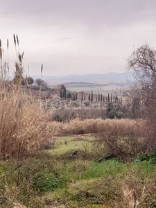 Terreno Agricolo in vendita a Casciana Terme Lari via Giuseppe Verdi