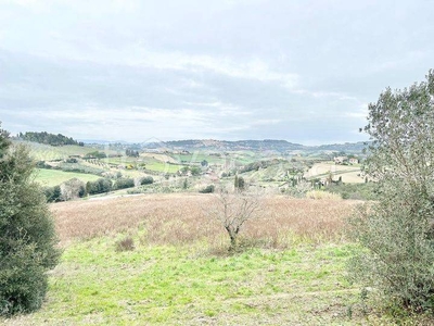 Terreno Agricolo in vendita a Castagneto Carducci strada Provinciale Bolgherese