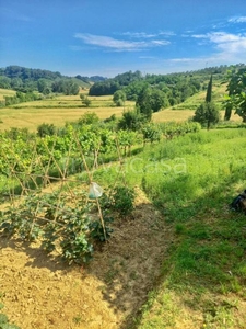 Terreno Agricolo in vendita a Castelfiorentino via del Vallone,, 20