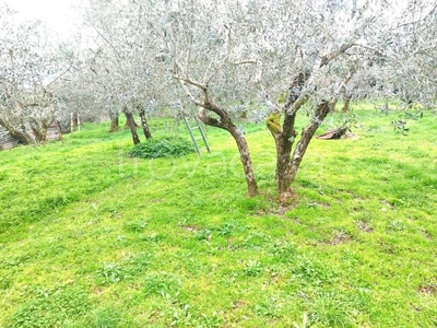 Terreno Agricolo in vendita a Castelfranco Piandiscò via Divisione Garibaldi