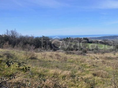 Terreno Agricolo in vendita a Castellina Marittima via per Chianni