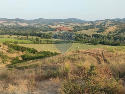 Terreno Agricolo in vendita a Cinigiano località abbandonato, snc