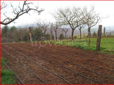 Terreno Agricolo in vendita a Civitella Paganico località patassa-le carbonaie
