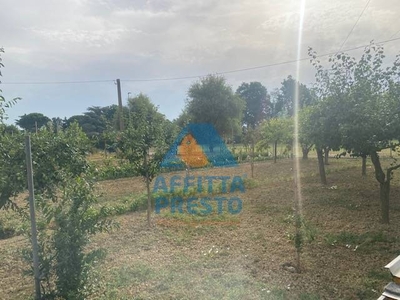 Terreno Agricolo in vendita a Empoli
