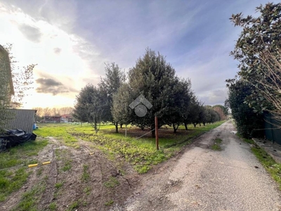 Terreno Agricolo in vendita a Empoli via di Vitiana