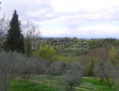 Terreno Agricolo in vendita a Empoli via Poggio Pini