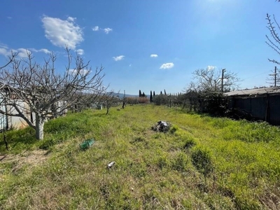 Terreno Agricolo in vendita a Follonica