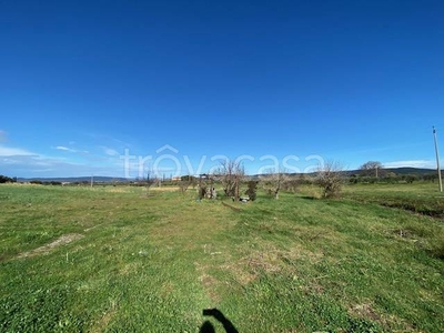 Terreno Agricolo in vendita a Gavorrano bagno Di Gavorrano