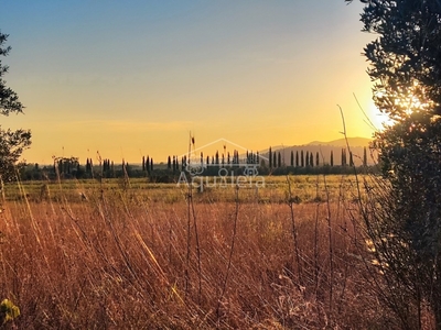 Terreno Agricolo in vendita a Grosseto vallerotana,