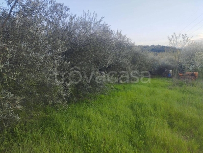 Terreno Agricolo in vendita a Lastra a Signa via Livornese, Snc