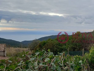 Terreno Agricolo in vendita a Livorno via Del Castellaccio