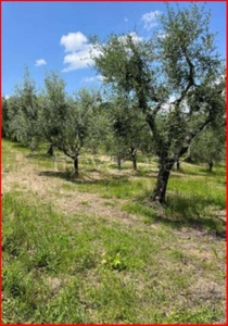 Terreno Agricolo in vendita a Manciano località Le Piagge a Montemerano