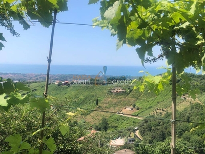 Terreno Agricolo in vendita a Massa via San Lorenzo, 111