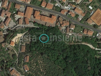 Terreno Agricolo in vendita a Massarosa via Sarzanese Valdera