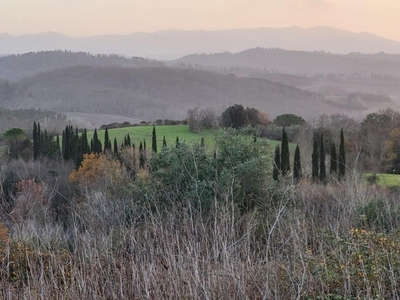 Terreno Agricolo in vendita a Palaia