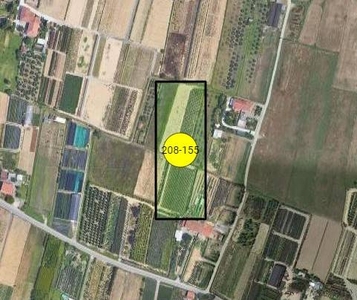 Terreno Agricolo in vendita a Pistoia via Buraccia e Pacinotta