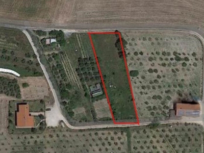 Terreno Agricolo in vendita a Rosignano Marittimo