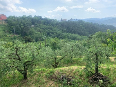 Terreno agricolo in vendita a Santo Stefano Di Magra